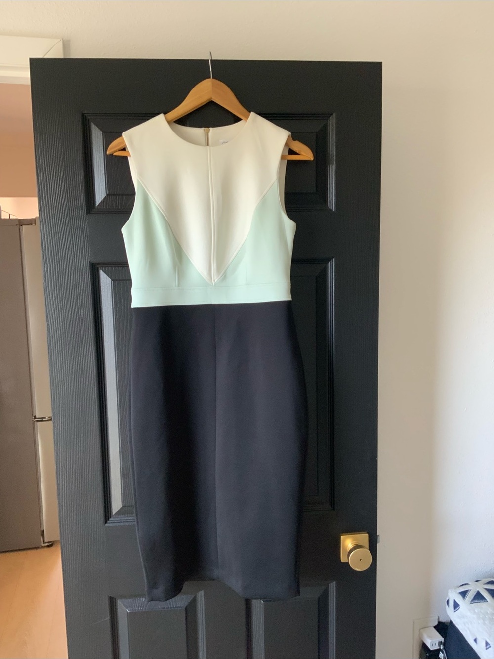 Calvin Klein Mint, White & Black Sleeveless Midi Sheath Dress